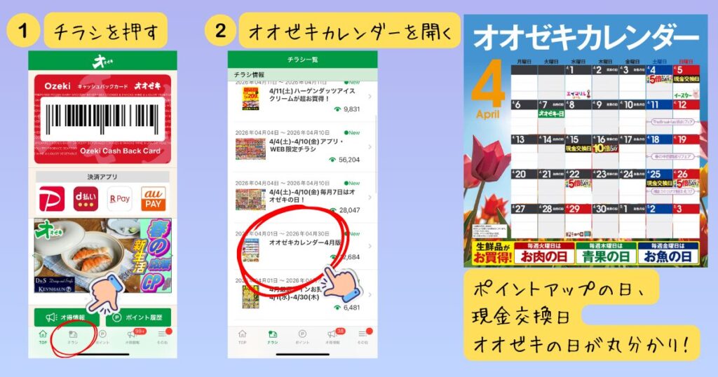 オオゼキアプリで特売日を確認する手順の図解。1.下のメニューから「チラシ」を選択、2.一覧から「オオゼキカレンダー」を開く。カレンダーではポイント5倍・10倍の「ポイントアップの日」、貯まったポイントを換金できる「現金交換日」、「オオゼキの日」が一目で分かる。